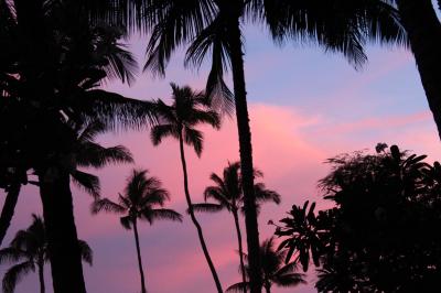 初めてのハワイ! 1日目~3日目