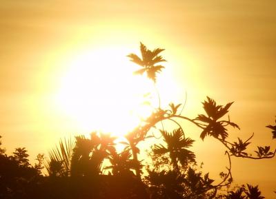 バリ島ロングステイ～朝の風景と夕焼けと、美味しいサテはマデロイ～