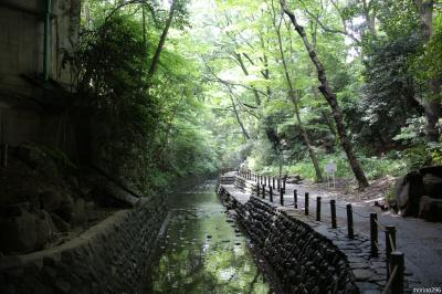 梅雨晴れの東京散策：等々力渓谷～九品仏ほか