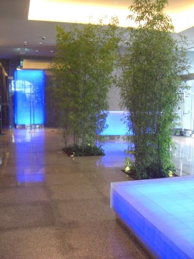 釜山ラグジュアリー出張