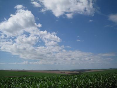 農場ドライブ＆アリメンタサォンの配達
