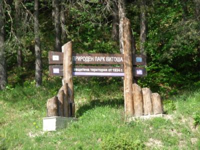 ブルガリア&ルーマニア　【８】ヴィトシャ山でハイキングのつもりが？
