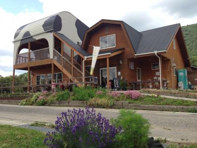 【東広島市】豊栄～飛行場 2013年6月16日