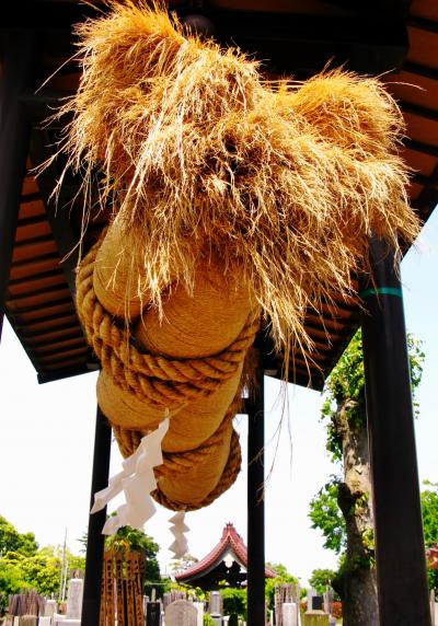 流山Walk-4 　赤城神社　大しめ縄は500ｋｇ の重量　☆流山の地名はここから