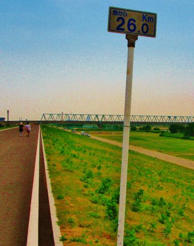 江戸川Walk 　流山堤防～松戸排水機場～松戸駅　☆水辺の健康エコロードで