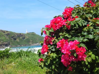 絶海の孤島 与那国で まったりと癒される。