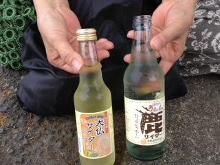 修学旅行以来の奈良の旅