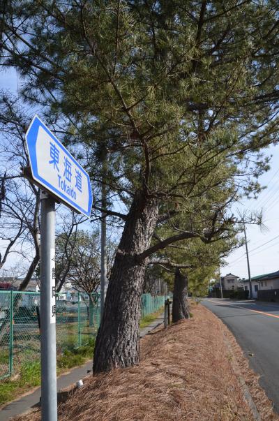 旧東海道　袋井宿の散策