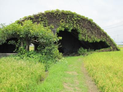 高知帰省旅②２０１１　南国前浜編