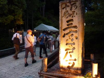 三室戸寺　あじさい園ライトアップ