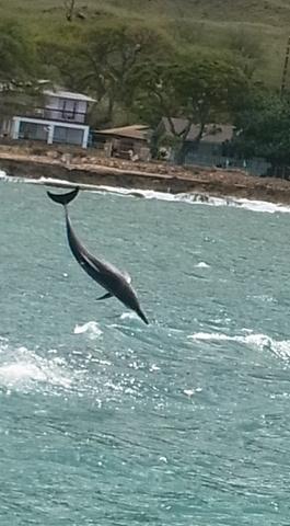 GWハワイ☆　海に観光にショッピング大満喫の旅5日目