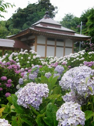 東京湾アクアラインで行く南房総の旅・・・後篇