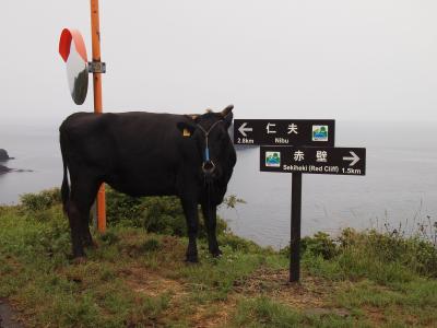 隠岐島前旅行記　　～　知夫里島　～