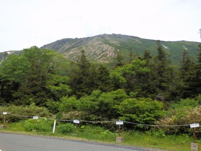 日本百名山　（ＮＯ１７）　　早池峰山縦走（河原坊～山頂～小田越へ）