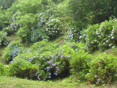 豊後大野市巡り