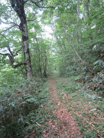 維新の三傑、大久保利通が秋田入りに使った旧道（旧秋田街道の１つ）を歩く