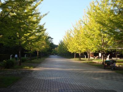 ミューズパーク