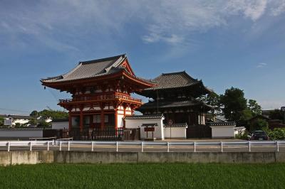 奈良　喜光寺の蓮