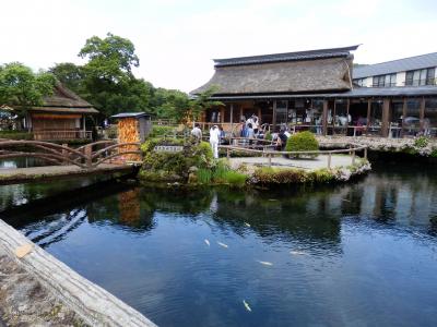 忍野八海・湧水めぐりと富士五湖　日帰りドライブ　