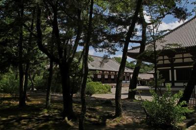 奈良　唐招提寺　過去への散策と蓮