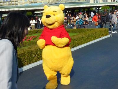 2010年11月TDL