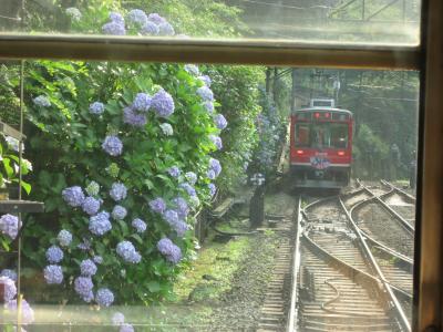 ’１３　箱根あじさい電車さんぽ３　箱根湯本・搭ノ沢・宮ノ下編（湯葉丼 直吉・宮ノ下あじさいライトアップ）