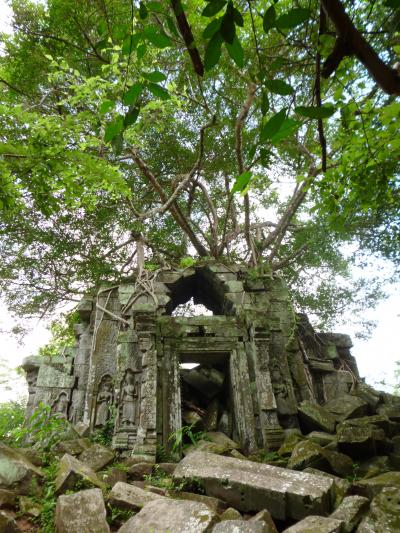 雨期のアンコールでウキウキ?! 17日AM (ベンメリア)