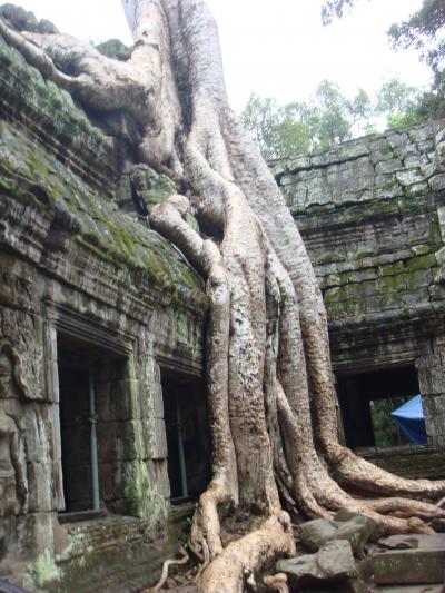 雨期のアンコールでウキウキ?! 17日PM (タプロウム・パンティアイクデイ)