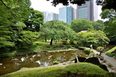 カメラと散歩　白山神社の紫陽花と小石川後楽園の花菖蒲②　おまけ東京ドーム