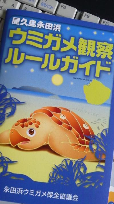 屋久島　「永田浜ウミガメ観察」　ウミガメの産卵観察編