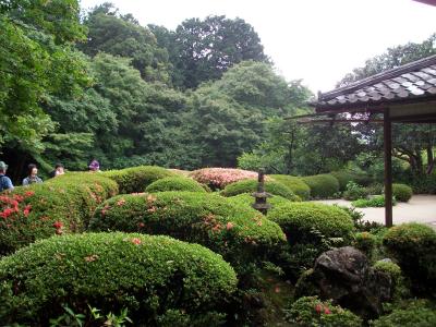 京都洛北、徘徊。