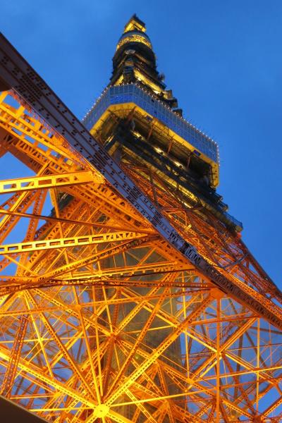 東京タワー登頂 夜景散策