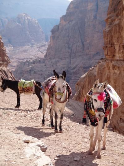 ヨルダン・ドバイ　④ 　バラ色の都ぺトラ　晴れの日バージョン♪