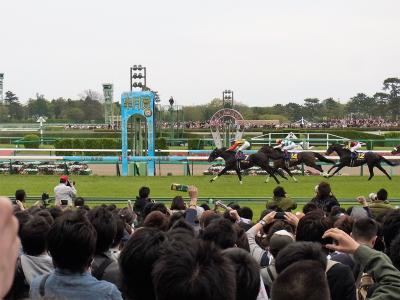 第７３回皐月賞　クラシックレース第一弾　生観戦記（２０１３年４月）