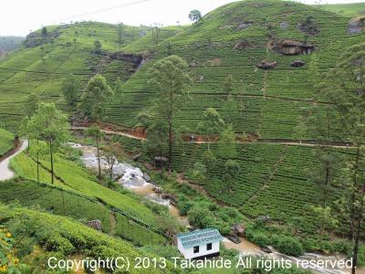 ヌワラ・エリヤ(&#3505;&#3540;&#3520;&#3515;&#3473;&#3525;&#3538;&#3514; (Nuwara Eliya))