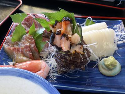 伊豆旅行記　初島アイランドリゾート・赤沢温泉ホテル・伊豆高原ビール　編