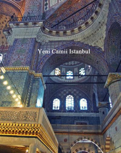 猫とモスク、ときどきチャイ＜イスタンブール旧市街　モスクに魅せられて＞