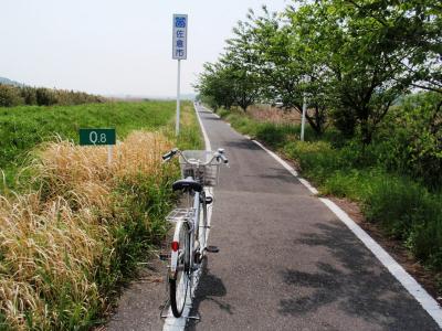 2010　電動ママチャリで印旛沼をサイクリング