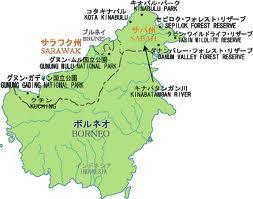 テングザルとコウモリの島　ボルネオ探訪記(1) 　いざボルネオへ