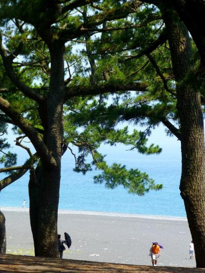 絶景の富士山＆三保の松原 静岡食い倒れ夏の陣！と言う凄いタイトルの日帰りバスツアー。