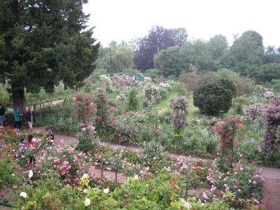 ジヴェルニーの花園