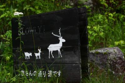 梅雨明け間近の信州(2) 車山高原 ~2013年6月~
