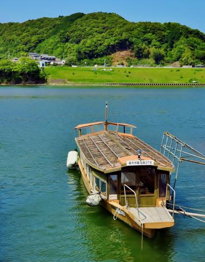 四万十川-2  まぼろしのアカメをアカメ館で観察　☆清流の主役いつまでも