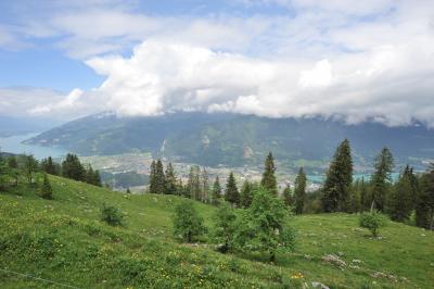 スイス花とハイキングの旅・シーニゲ・プラッテ、ブリエンツ