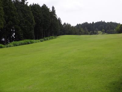 ゴルフの後、夕食は　小田原の「だるま食堂」