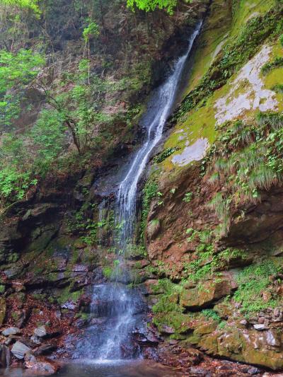 祖谷-2　琵琶の滝～５０ｍ、水しぶきあげて　☆ソバ・でこまわしが名物