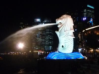 3歳6か月の娘とシンガポール旅行へ その1(関西→シンガポール)