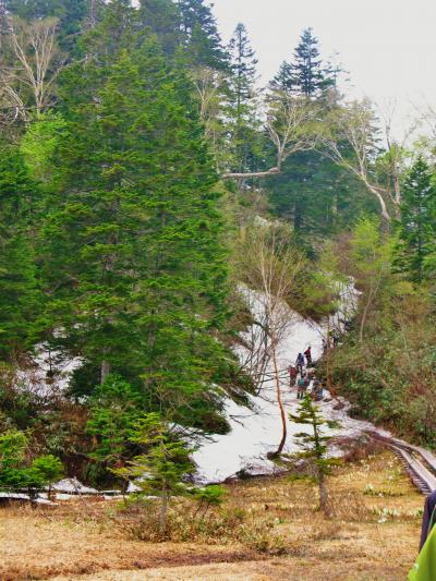 尾瀬-8　白砂峠(1680ｍ)を越えて　見晴～白砂田代　☆雪残り滑りやすく