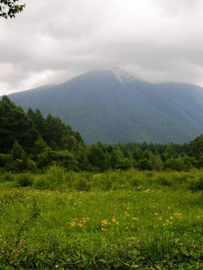 日光白根山が雨で中止し戦場ヶ原・小田代ヶ原を散策