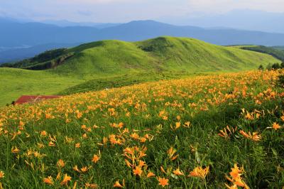 草刈でぐったり(ｰｰ;)の後の霧ヶ峰